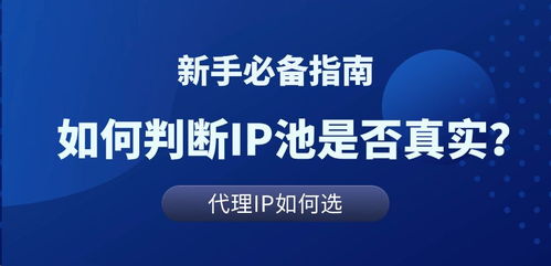 代理IP池解析與真實(shí)測(cè)評(píng) 科技推廣和應(yīng)用服務(wù)的核心工具